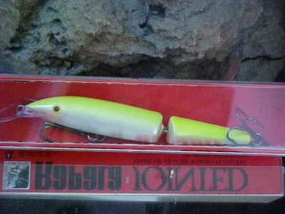 rapala j9